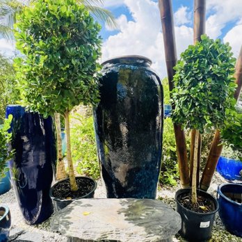SmartyPlants Nursery - Landscaping Near Me - Lake Worth, Florida