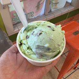 Mint Chocolate Chip