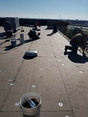 Conviviendo USA Logo