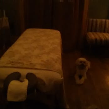 Monica Del Castillo, LMT - Reiki Near Me Monica Del Castillo, LMT - Reiki Near Me