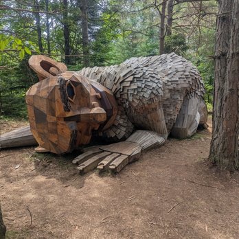 The Wild Center - Museums Near Me - Tupper Lake, New York