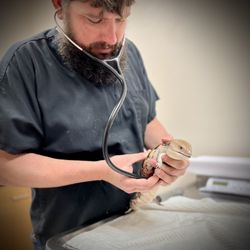 Haley Veterinary Practice