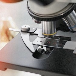 Vitality Wellness Center - Live Blood Analysis allows us to get to the root causes effectively