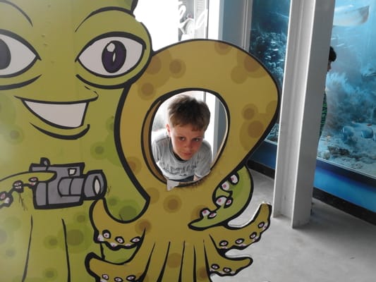 Acquario di Livorno by null