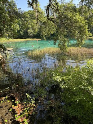Rainbow Springs State Park by null