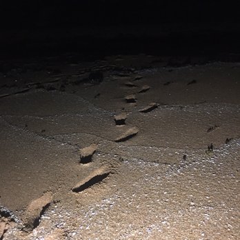 Gamble Rogers Memorial State Recreation Area - Footprints in the dark - Parks Near Me - Flagler Beach, Florida Gamble Rogers Memorial State Recreation Area - Footprints in the dark - Parks Near Me - Flagler Beach, Florida