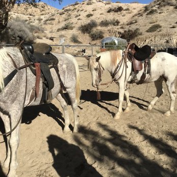 CottonWood Canyon Ranch - Horses - Horseback Riding Near Me - Morongo Valley, California