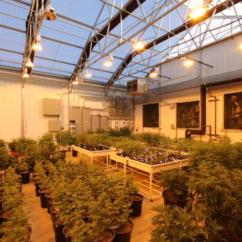 Durango Organics - Cannabis Clinics Near Me - Cortez, Colorado