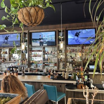 Selva - Bar - Bars Near Me - Long Beach, California
