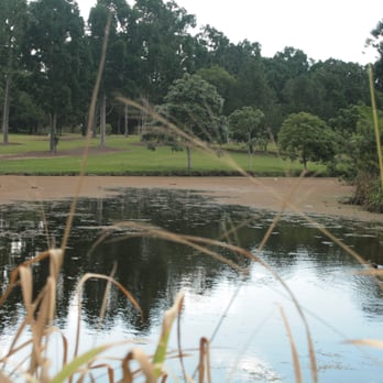 Sherwood Arboretum - Parks Near Me - Sherwood, QLD