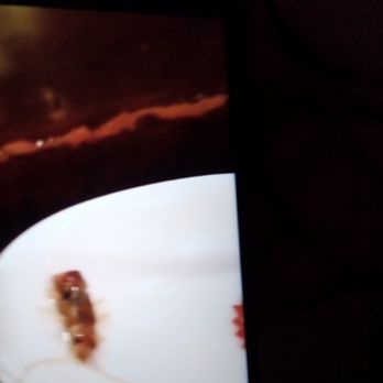 Benihana - Denver - In the soup. Wtf kind of bug is that. And they acted like they didn't even care. That's just one incident. - Sushi Bars Near Me - Denver, Colorado Benihana - Denver - In the soup. Wtf kind of bug is that. And they acted like they didn't even care. That's just one incident. - Sushi Bars Near Me - Denver, Colorado