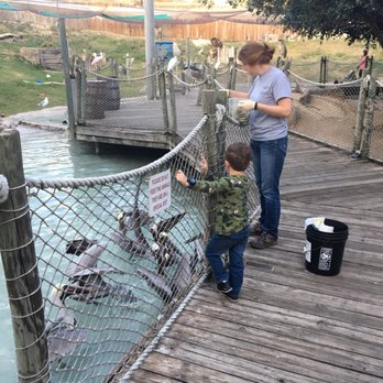 Cameron Park Zoo - Zoos Near Me - Waco, Texas Cameron Park Zoo - Zoos Near Me - Waco, Texas
