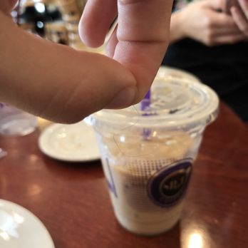 Spot Coffee - Cafes Near Me - Glens Falls, New York Spot Coffee - Cafes Near Me - Glens Falls, New York