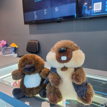 Clawesome - Arcades Near Me - San Mateo, California Clawesome - Arcades Near Me - San Mateo, California