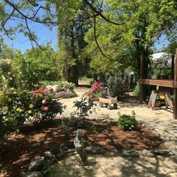 Montoy's Landscaping