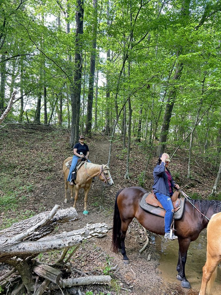 Painted Sky Ranch Riding School - equestrian in Mooresville, NC
