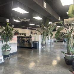 27th Oasis Laundromat