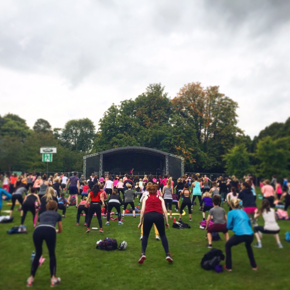 WellFest - Wellstage at Wellfest 2015 - Festivals Near Me - Dublin, D