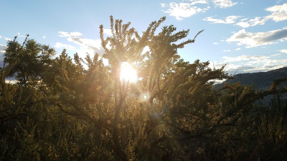 SPRING CANYON CAMPGROUND Updated September 2024 14 Photos Spring