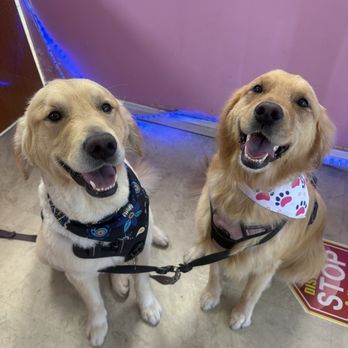 Waggily Ever After Pet Grooming - Pet Groomers Near Me - South Gate, California