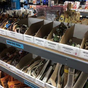 Dog Supplies Outlet - Pet Stores Near Me - Las Vegas, Nevada Dog Supplies Outlet - Pet Stores Near Me - Las Vegas, Nevada
