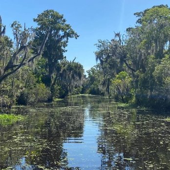 Airboat Adventures - Boat Tours Near Me - Lafitte, Louisiana Airboat Adventures - Boat Tours Near Me - Lafitte, Louisiana