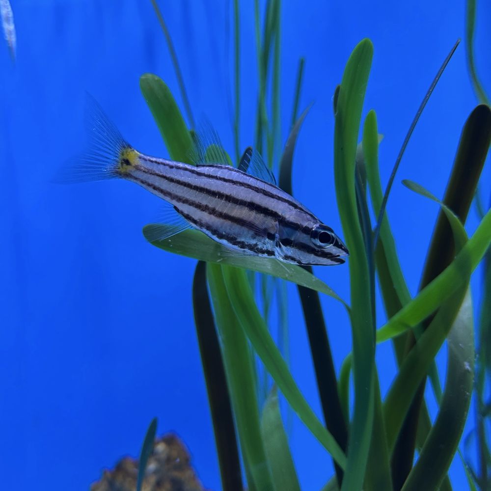 Seattle Aquarium - Aquariums Near Me - Seattle, Washington Seattle Aquarium - Aquariums Near Me - Seattle, Washington