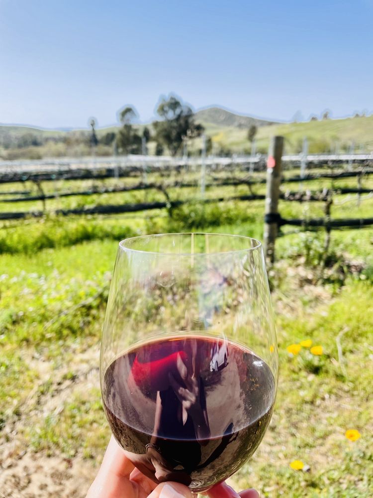 DOMAINE ARTEFACT VINEYARD & WINERY 308 Photos & 130 Reviews