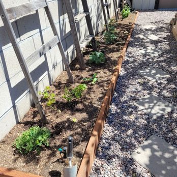 Moran Tree Service - Vegetables bed - Tree Services Near Me - Riverside, California Moran Tree Service - Vegetables bed - Tree Services Near Me - Riverside, California