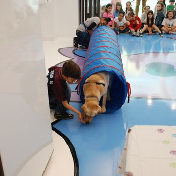 Frolic - Frolic Birthday Party - Agility Course Activity - Party & Event Planning Near Me - New York, New York