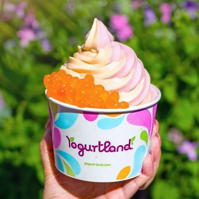 Yogurtland Dallas by null