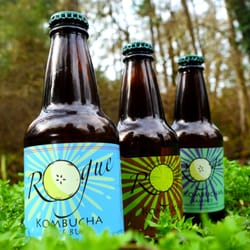 Rogue Kombucha - Rogue Kombucha, brewed and bottled in southern oregon!