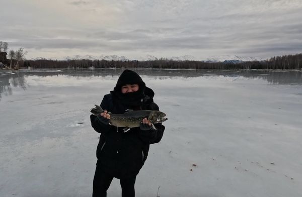 The Bait Shack by null