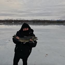 The Bait Shack - Ice fishing might be my new favorite winter hobby.