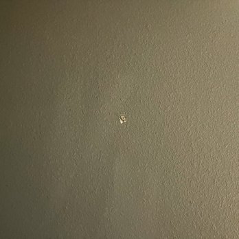 Wyndham Garden Texarkana - missing paint peeling on wall - Hotels Near Me - Texarkana, Texas Wyndham Garden Texarkana - missing paint peeling on wall - Hotels Near Me - Texarkana, Texas