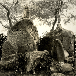 The Stones of Life - Kapaemahu - Stones in 1910