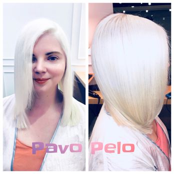 Pavo Pelo Salon - Hair Stylists Near Me - Raleigh, North Carolina Pavo Pelo Salon - Hair Stylists Near Me - Raleigh, North Carolina