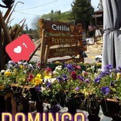 Ottilia - Lugar muy tradicional. Excelente cerveza y comida