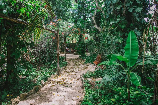 Hostel La Candelaria by null