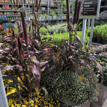 The Home Depot - Nurseries & Gardening Near Me - Allen, Texas The Home Depot - Nurseries & Gardening Near Me - Allen, Texas