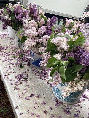 79th Street Greenmarket by null
