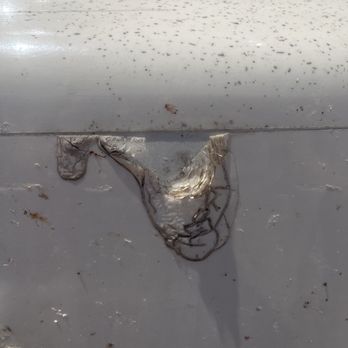 Big Texan RV Ranch - Damage to front bumper of RV - RV Parks Near Me - Amarillo, Texas