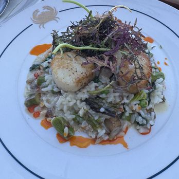 Barrel House Tavern - Seared Jumbo Sea Scallops - New American Near Me - Sausalito, California Barrel House Tavern - Seared Jumbo Sea Scallops - New American Near Me - Sausalito, California