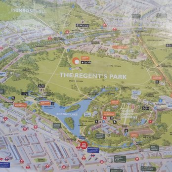 The Regent's Park - Parks Near Me - London, XGL