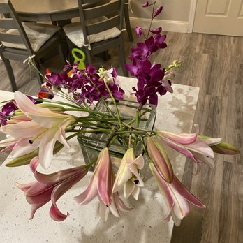 St Pete Florist - Florists Near Me - Saint Petersburg, Florida
