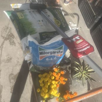 The Home Depot - I picked up fertilizer, a rotary cultivator, some little flowers, manure and a couple succulents - Nurseries & Gardening Near Me - Porter, Texas The Home Depot - I picked up fertilizer, a rotary cultivator, some little flowers, manure and a couple succulents - Nurseries & Gardening Near Me - Porter, Texas