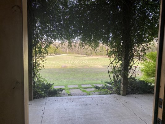 Wonderbird Spirits by null