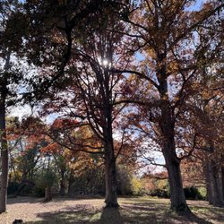 Gaines' Mill Battlefield - Glendale- saved by the trust