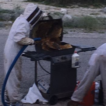 Bee Wranglers - Approximately 15 rows of wax in the BBQ grill/8 months time, this hive had queens and honey!! Bye Bye Bees!! - Pest Control Near Me - Riverside, California