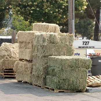 Close Feed & Supply - Hay for animals and for bedding - Pet Stores Near Me - Hayward, California Close Feed & Supply - Hay for animals and for bedding - Pet Stores Near Me - Hayward, California